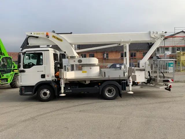 Bild 4 einer Mietmaschine vom Typ WT-300 | Palfinger P 300KS